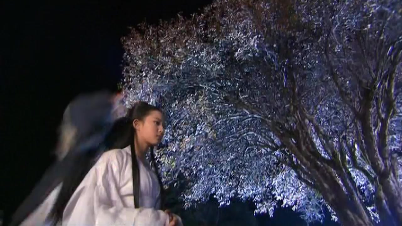 AI魔改电视剧 神雕侠侣